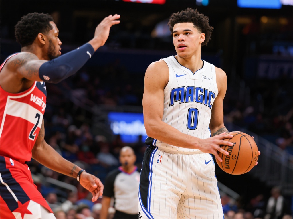 充分说明了 充分说明了