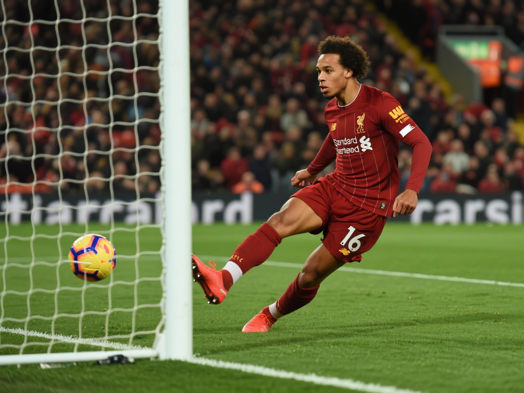 从贝林厄姆 从贝林厄姆